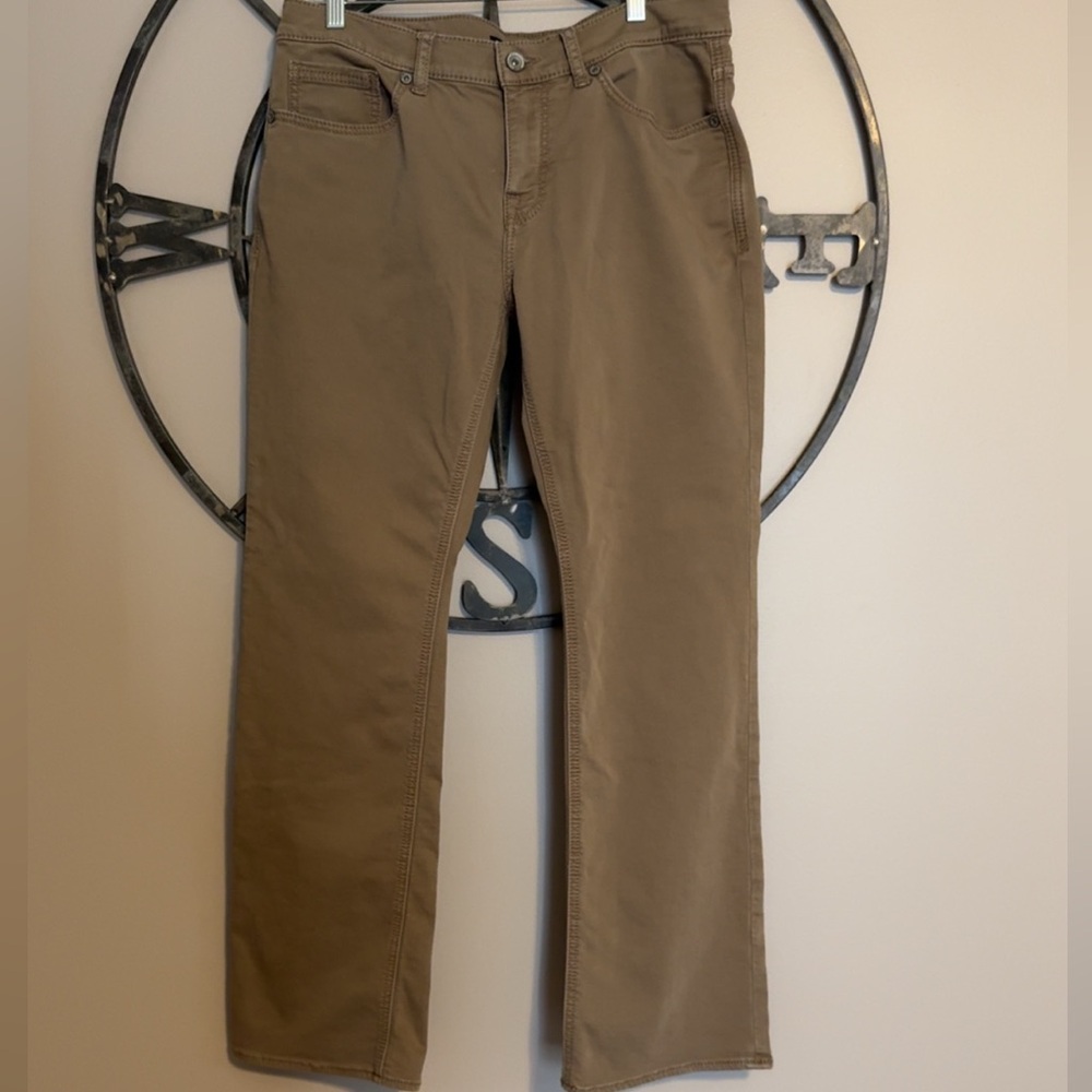 Mens BKE Aiden Khaki Pants